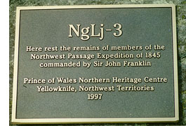 Close-up of plaque