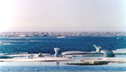Bay Ice